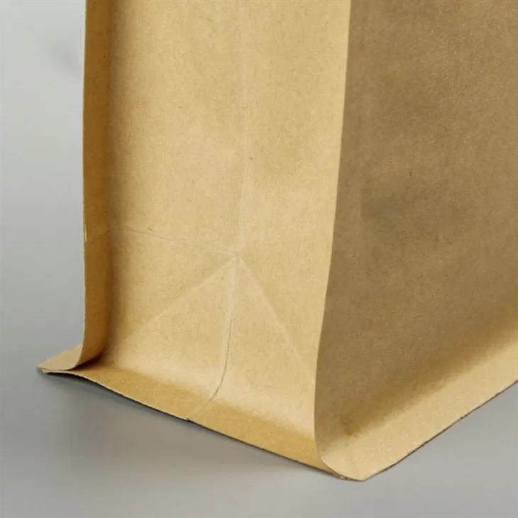 Main-04 paper kraft bags